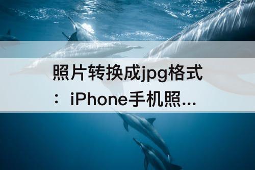 照片转换成jpg格式：iPhone手机照片转换成jpg格式