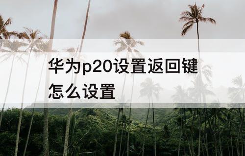 华为p20设置返回键怎么设置