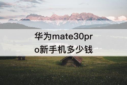 华为mate30pro新手机多少钱