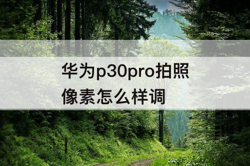 华为p30pro拍照像素怎么样调