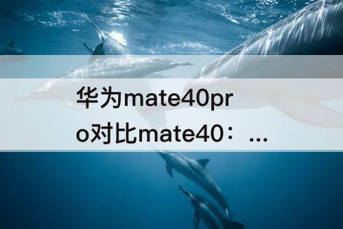 华为mate40pro对比mate40：华为mate40pro对比mate40pro+参数