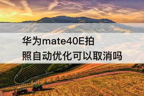 华为mate40E拍照自动优化可以取消吗